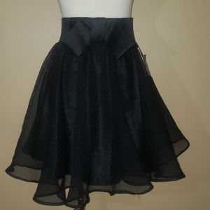 New Chiffon Skirt